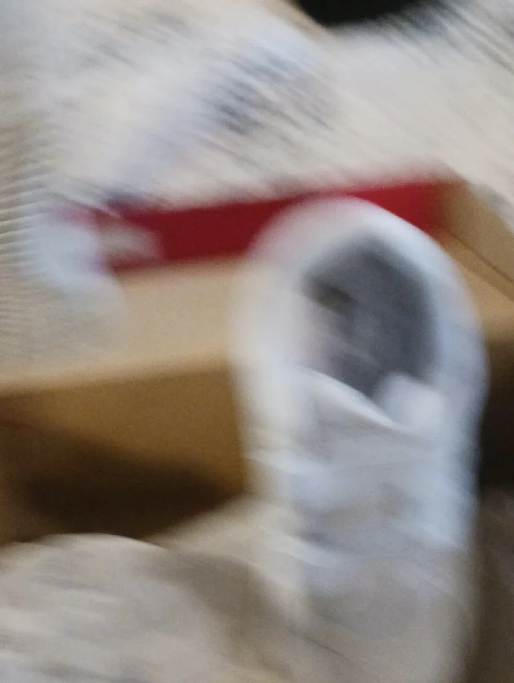 New Balance Kids White Velcro 577 Sneakers